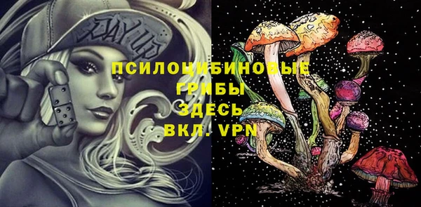 кокаин премиум Богородицк