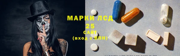spice Богданович