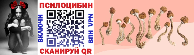 Галлюциногенные грибы прущие грибы  купить наркотик  Шенкурск 